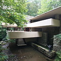 Frank Lloyd Wright VI