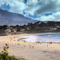 California Beach Landscape Monterey
