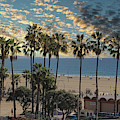 Santa Monica Palm Trees California Beach Pano 